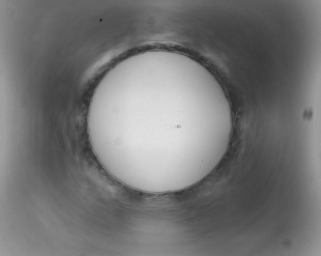 X0000113101159200909182131