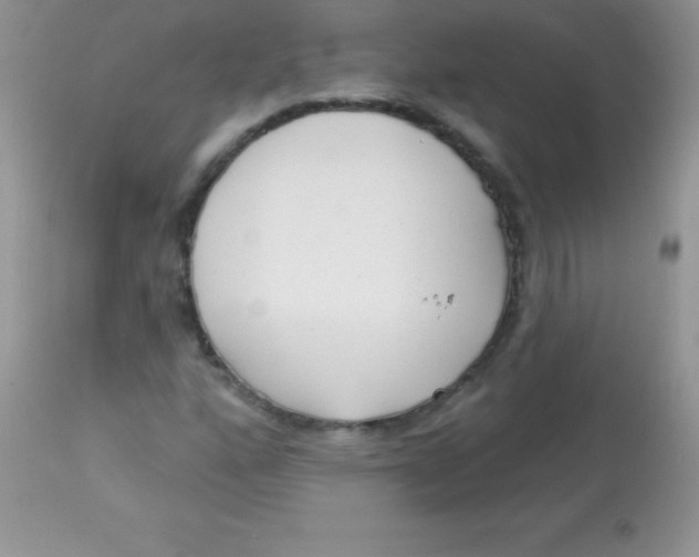 X0000113101160200909182131