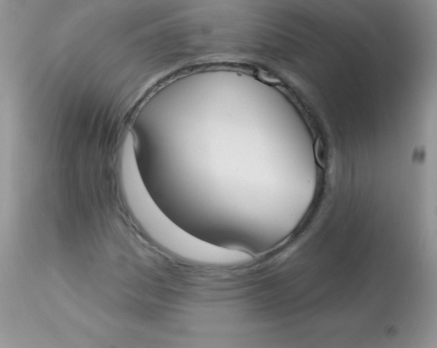 X0000113101161200909182131