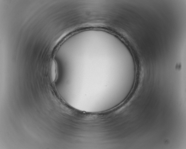 X0000113101162200909182131