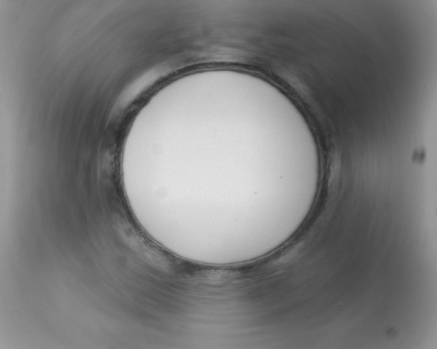 X0000113101163200909182131