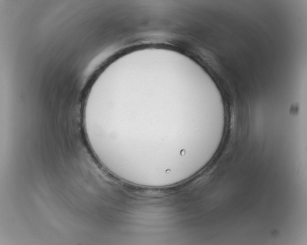 X0000113101164200909182131