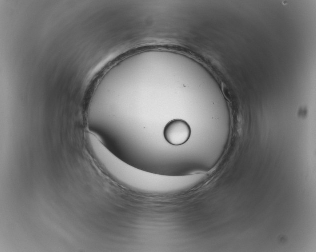 X0000113101165200909182131