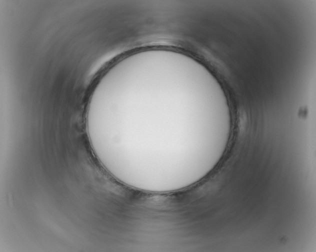 X0000113101166200909182131