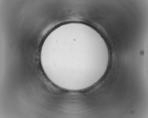 X0000113101168200909182131