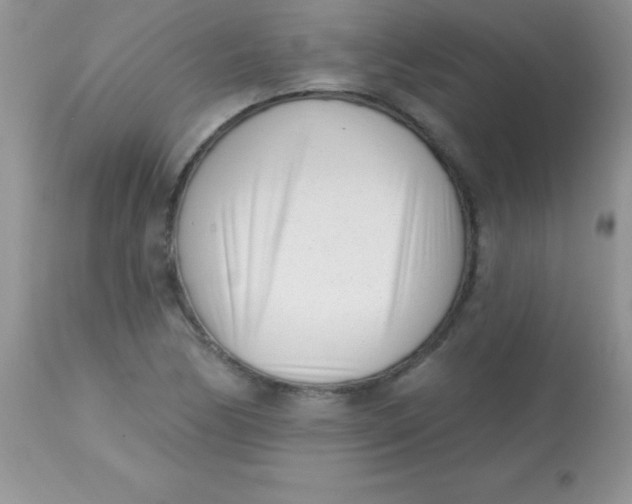X0000113101170200909182131