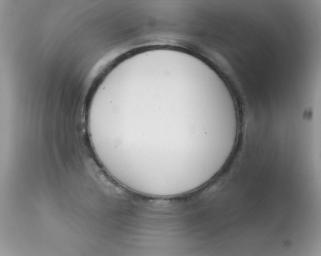 X0000113101172200909182131