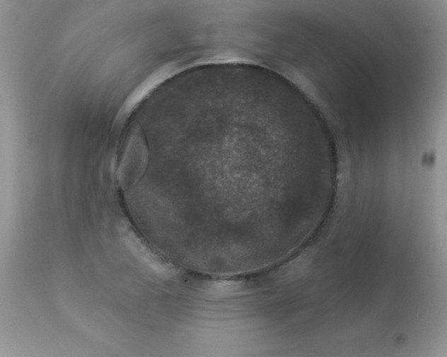 X0000113101173200909182131