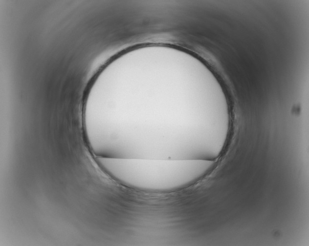 X0000113101176200909182131