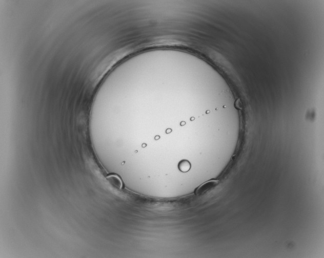 X0000113101177200909182131