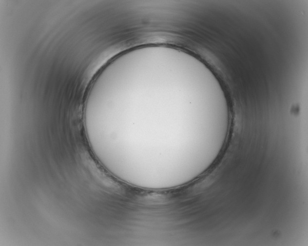 X0000113101178200909182131