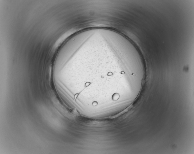 X0000113101179200909182131