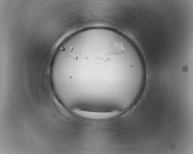 X0000113101181200909182131