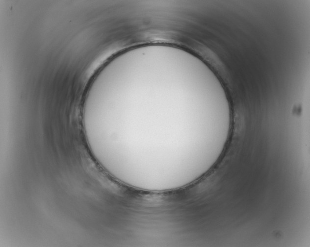 X0000113101182200909182131