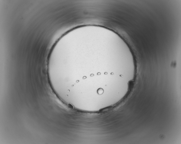 X0000113101184200909182131