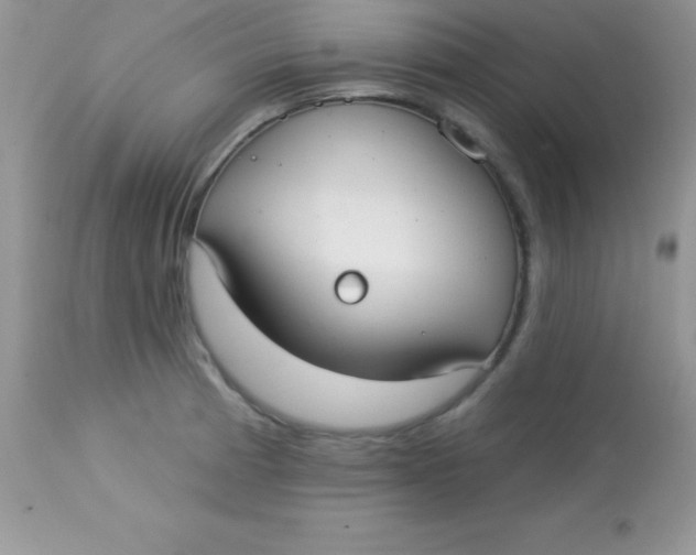 X0000113101185200909182131