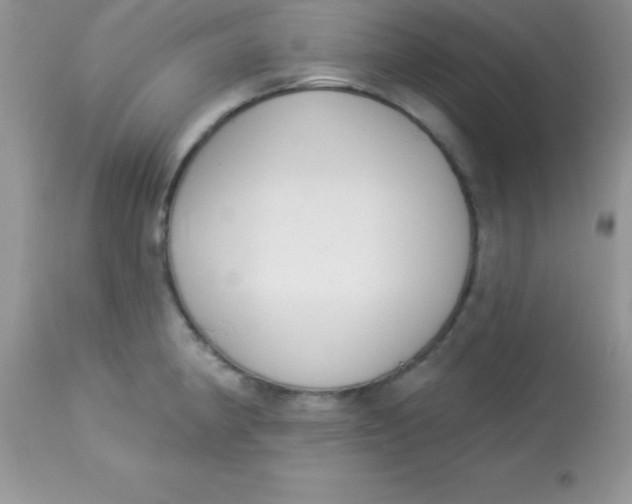 X0000113101190200909182131