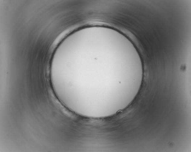 X0000113101191200909182131