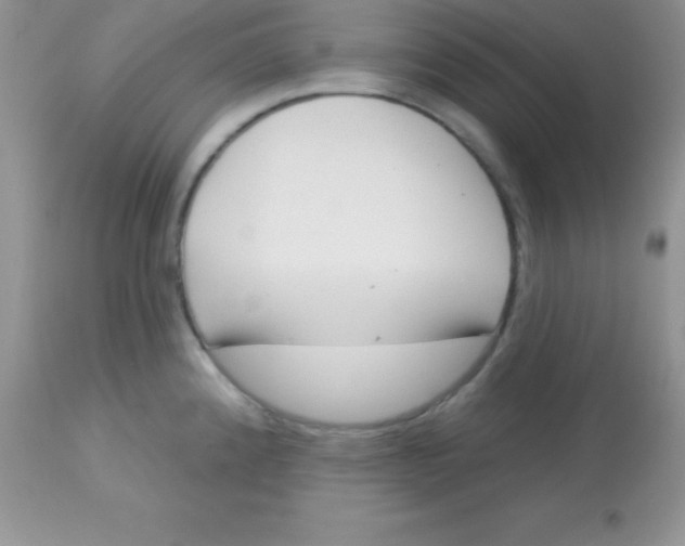 X0000113101192200909182131