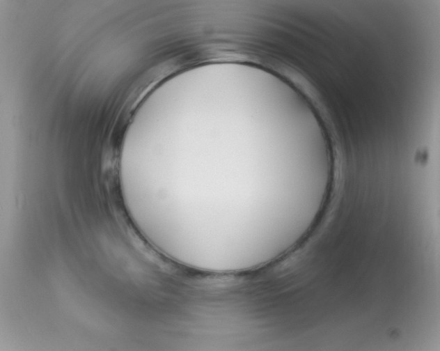X0000113101193200909182131