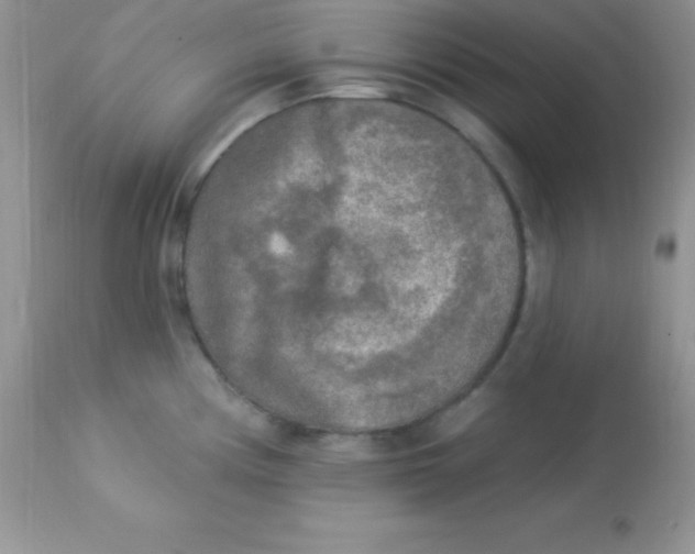 X0000113101194200909182131