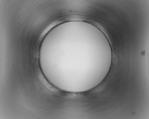X0000113101195200909182131