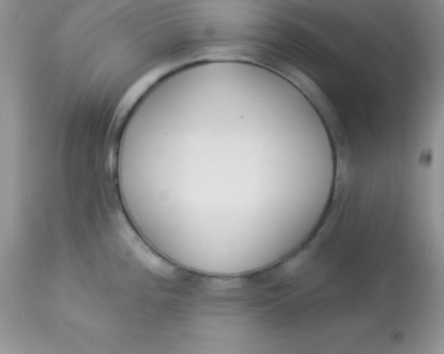 X0000113101196200909182131