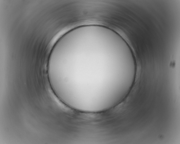 X0000113101197200909182131