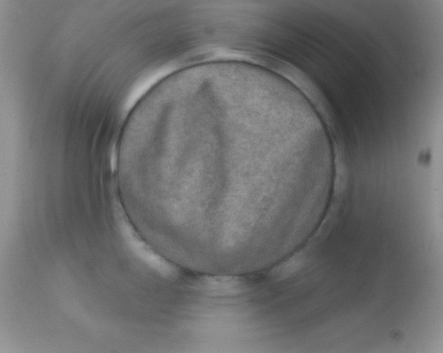X0000113101198200909182131