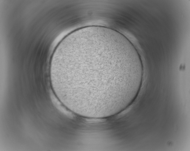 X0000113101200200909182131