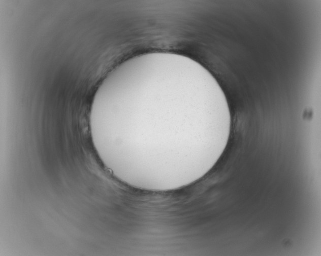 X0000113101202200909182130