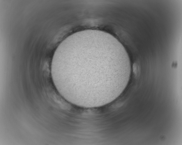 X0000113101203200909182130