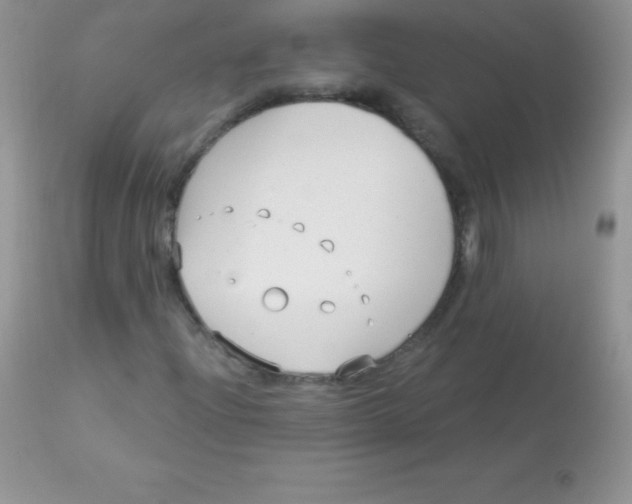 X0000113101204200909182130