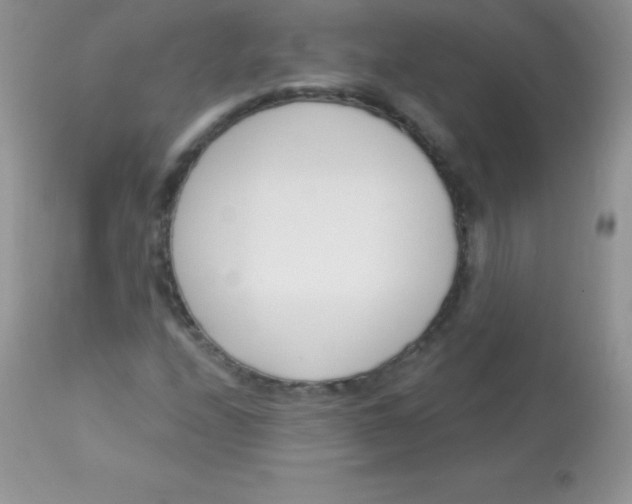 X0000113101208200909182130