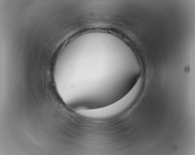 X0000113101209200909182130
