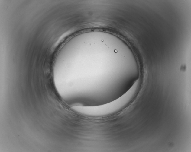 X0000113101210200909182130