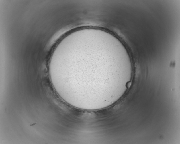 X0000113101215200909182130