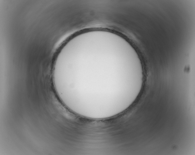 X0000113101216200909182130