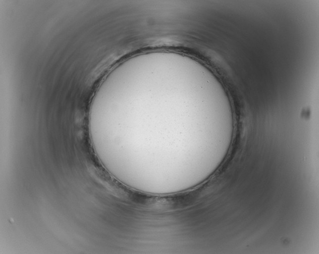 X0000113101217200909182130