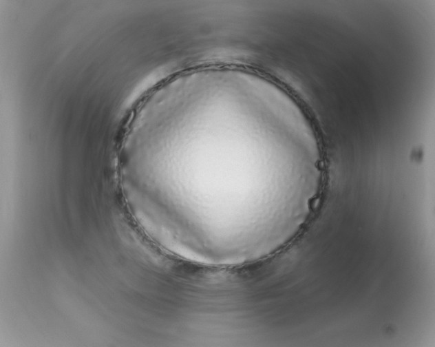 X0000113101219200909182130