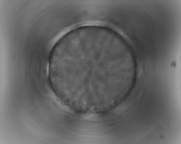 X0000113101221200909182130