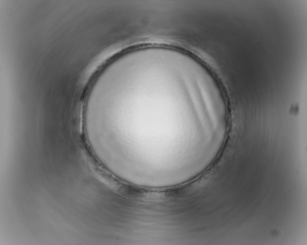 X0000113101223200909182130