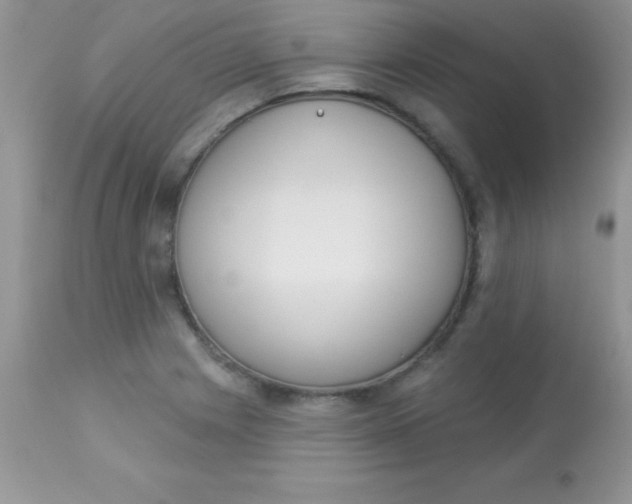 X0000113101225200909182130