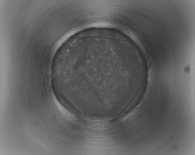 X0000113101229200909182130