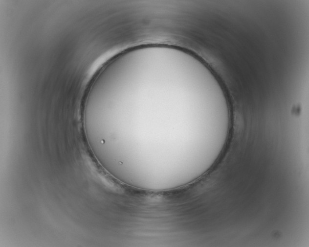 X0000113101230200909182130
