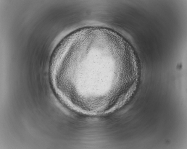 X0000113101231200909182130
