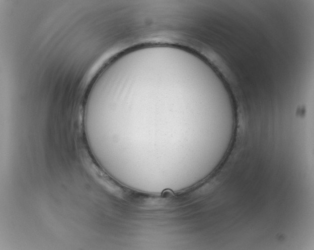 X0000113101232200909182130