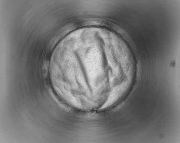 X0000113101233200909182130