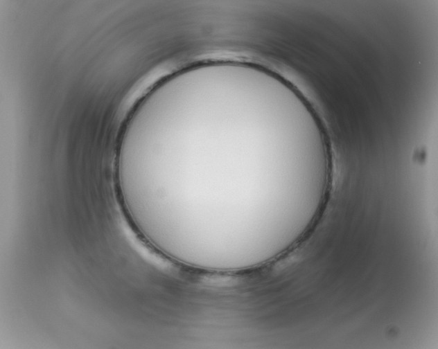 X0000113101237200909182130
