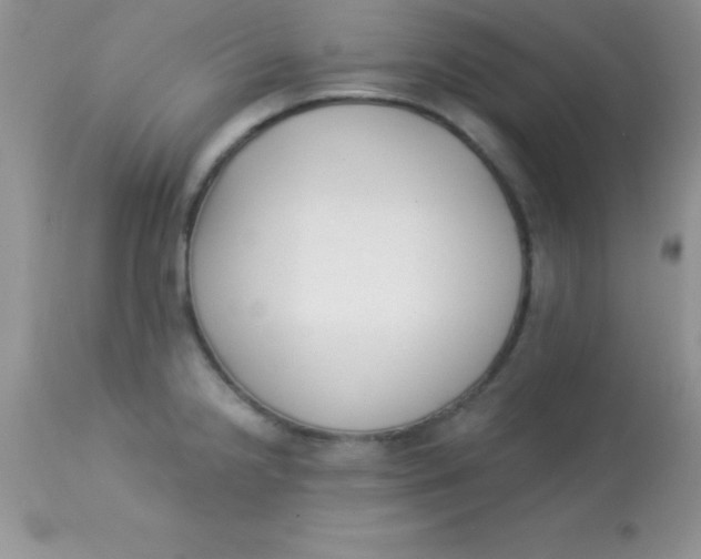 X0000113101238200909182130